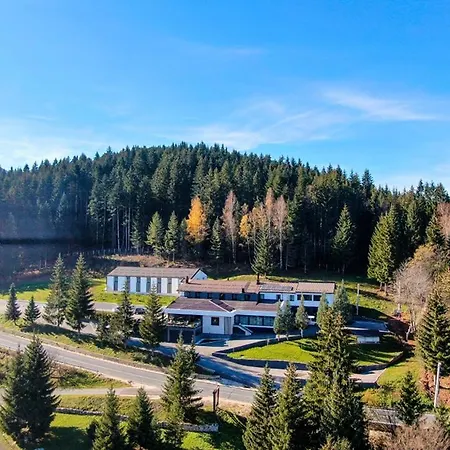 Hotel Forest-2